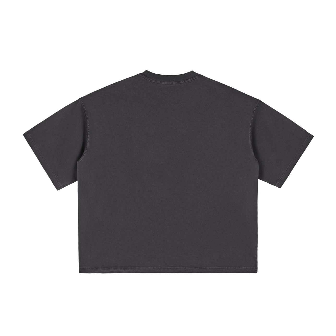 Vintage Raccoon Boxy Tee